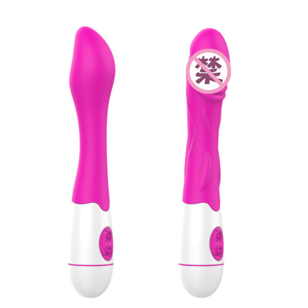 Double Head Vibrator Female Strong Vibration Massager with Brush