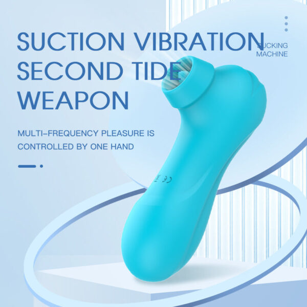 12 Frequency Sucking Vibration Silicone Rechargeable Masturbator Female Vibrator