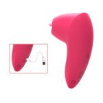 All-inclusive Gel Silicone Rechargeable Tongue Licker Female Masturbation Flirting Toy