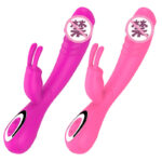 Double-headed rabbit silicone vibrator